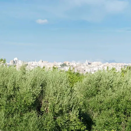 Tenuta Ulivi *