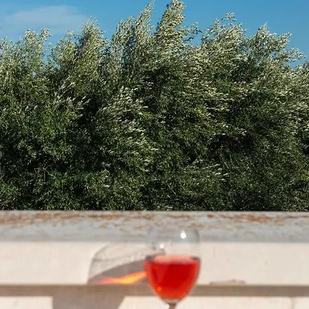 Tenuta Ulivi *